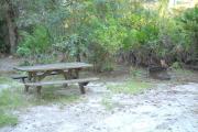 Picnic table and fire pit/grill with saw palmetto and small oak trees behind them.