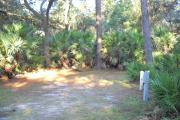35x22 foot shell rock campsite with water and electric hook ups surrounded by saw palmetto with three large pine trees in rear of site.