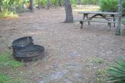 Picnic table and fire pit/ grill in the rear of the site.