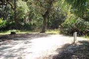 47x28 foot shell rock camp site with electric and water hook ups shaded under oak trees, with a cabbage palm at road edge of site. A large oak stands at rear of site.