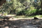 Picnic table and fire pit/grill at rear of site partially under an oak tree with saw palmetto and woods behind.