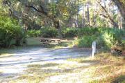 30x22 foot shell rock camp site with water and electric hook ups surrounded by saw palmetto with large oaks in the rear.