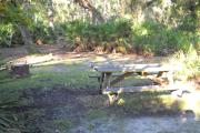 Picnic table and fire pit/grill shaded under large oak tree surrounded by saw palmetto.