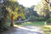 55x18 foot shell rock site with water and electric hook ups, picnic table next to cabbage palm on left side of site, large fallen oak at rear of site.