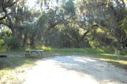 54x38 foot shell rock site with water and electric hook ups grill in far left side of picture, and large sprawling oaks with hanging moss in rear of site.
