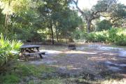 Picnic table and fire pit/grill at rear of site next to a cabbage palm.