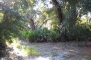 This view is from the rear of the site looking across a small opening in the woods.
