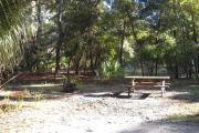 Picnic table and fire pit/grill with skinny oaks in rear.