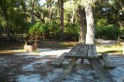 Picnic table with two oak trees behind it and fire pit / grill on left side.