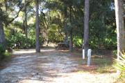 42x17 foot shell rock site with water and electric hook ups on right side also 3 pine trees on right side, one pine in middle rear of site and two pine trees on left side.