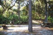 Picnic table on left side fire pit grill on right side and large pine in between them at the rear of the site.