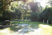 35x28 foot shell rock site with water and electric hook ups, picnic table on left side under an oak tree, musk dime vines and fallen oak on right rear side of site.