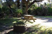 Picnic table and fire pit/grill with saw palmetto and large sprawling oak tree with hanging moss in back of table and grill.