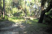 42x20 foot shell rock site with water and electric hook ups on the right. Large oak on right side and picnic table in rear.