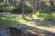 Fire pit up front, picnic table in rear by three pine trees.