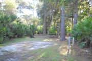30x18 foot shell rock site with water and electric hook ups on right side by saw palmetto. Picnic table in rear surrounded by four pine trees.