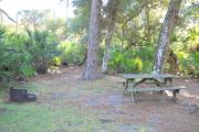 Picnic table on right next to oak tree with another oak and pine tree behind it. Fire grill/pit on left side by saw palmetto.