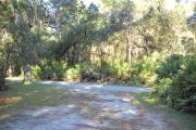 View from rear of site facing the road saw palmetto on right side and an oak tree on the left side.