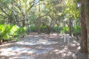 43x17 foot shell rock site with water and electric hook ups on right side behind a pine tree. On left side large oak tree in rear and saw palmetto in front.