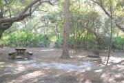 Picnic table on left by oak tree. Fire grill on right by skinny pine. Large pine in between table and grill.