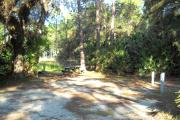37x22 foot shell rock site with water and electric hook ups on right side surrounded by palmettos. Picnic table and three pine trees in rear. Large oak tree on left side.
