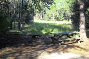 Picnic table on right side in front of pine tree. Fire grill on left in front of marsh land grasses.