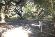 60x19 foot shell rock site with water and electric hook ups on right side. Two large oaks in rear behind picnic table and grill. One large sprawling oak with hanging moss on left side that shades the entire site.