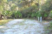31x23 foot shell rock site with water and electric hook ups on right side. Entire site surrounded by saw palmetto.