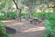 Fire pit on right by palmettos. Picnic table on left behind palmetto and in front of small oak trees.