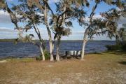 A view of the lake from the swimming area with a bench nestled in between the trees.