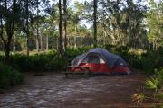 A view a one of the campsites with a tent nestled in the corner underneath some shade trees, overlooking the woods.