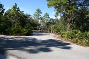 Photo is at the front of LOOP 1 #2 looking out towards back of site.  Site is paved surrounded by green trees, bathhouse and restroom directly behind the site.  Back of the site you has 2 clothes line poles, the far right of the site has water and electric hookups; on the far left of the site is a circular ground grill and out of site is a picnic table.