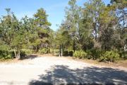 Photo is at the front of Loop 1 Site #3  looking out towards back of site