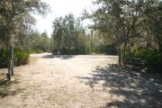 In Loop 1 Site#3, from the back of site looking towards the road