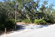 In LOOP 1 #6, a better view of the entrance to the site more palmetto and trees surround the site. Site Marker is on the right side of the main road