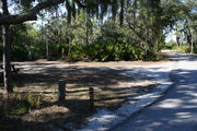 Looking at LOOP 1 #10 from camping area road â Partially shaded site surrounded by palmettos and green trees;