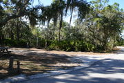 In LOOP 1 #10, a better view of the entrance to the site more palmetto and trees surround the site. Site Marker is on the right side of the main road