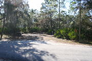Photo is at the front of LOOP 1 #10 looking out towards back of site; gray campground road with green trees surrounding the site, also on the back of the site is 2 clothes line poles,  to the far right of site is water and electric hookups; far left of site is circular ground grill and picnic table.