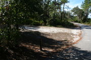 Looking at LOOP 1 #11 from camping area road â Partially shaded site surrounded by palmettos and green trees;