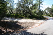 In LOOP 1 #11, a better view of the entrance to the site more palmetto and trees surround the site. Site Marker is on the right side of the main road. Here you can also see a paved trail that will lead you to the playground, picnic area