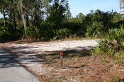 In LOOP 1 #12, a better view of the entrance to the site more palmetto and trees surround the site. Site Marker is on the right side of the main road