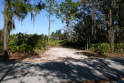 Photo is at the front of LOOP 1 #12 looking out towards back of site; gray campground road with green trees surrounding the site, also on the back of the site is 2 clothes line poles,  to the far right of site is water and electric hookups; far left of site is circular ground grill and picnic table.
