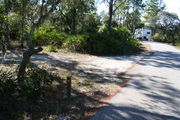Looking at LOOP 1 #13 from camping area road â Partially shaded site surrounded by palmettos and green trees;