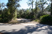 Photo is at the front of LOOP 1 #13 looking out towards back of site; gray campground road with green trees surrounding the site, also on the back of the site is 2 clothes line poles,  to the far right of site is water and electric hookups; far left of site is circular ground grill and picnic table.