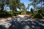 In LOOP 1 #14, a better view of the entrance to the site more palmetto and trees surround the site. Site Marker is on the right side of the main road