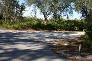 Photo is at the front of LOOP 1 #14 looking out towards back of site; gray campground road with green trees surrounding the site, also on the back of the site is 2 clothes line poles,  to the far right of site is water and electric hookups; far left of site is circular ground grill and picnic table.