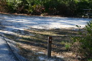 Looking at LOOP 1 #16 from camping area road â Partially shaded site surrounded by palmettos and green trees;
