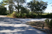In LOOP 1 #16, a better view of the entrance to the site more palmetto and trees surround the site. Site Marker is on the right side of the main road