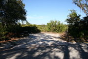 Photo is at the front of LOOP 1 #16 looking out towards back of site; gray campground road with green trees surrounding the site, also on the back of the site is 2 clothes line poles,  to the far right of site is water and electric hookups; far left of site is circular ground grill and picnic table.