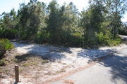 In LOOP 1 #17, a better view of the entrance to the site more palmetto and trees surround the site. Site Marker is on the right side of the main road